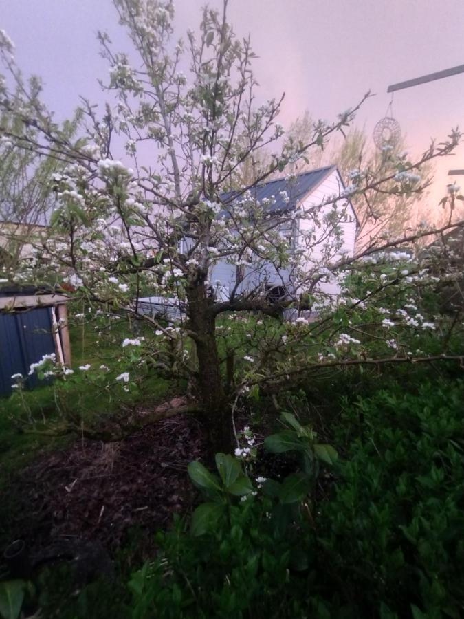 Tuinhuisje In Het Groen Almere Exterior foto