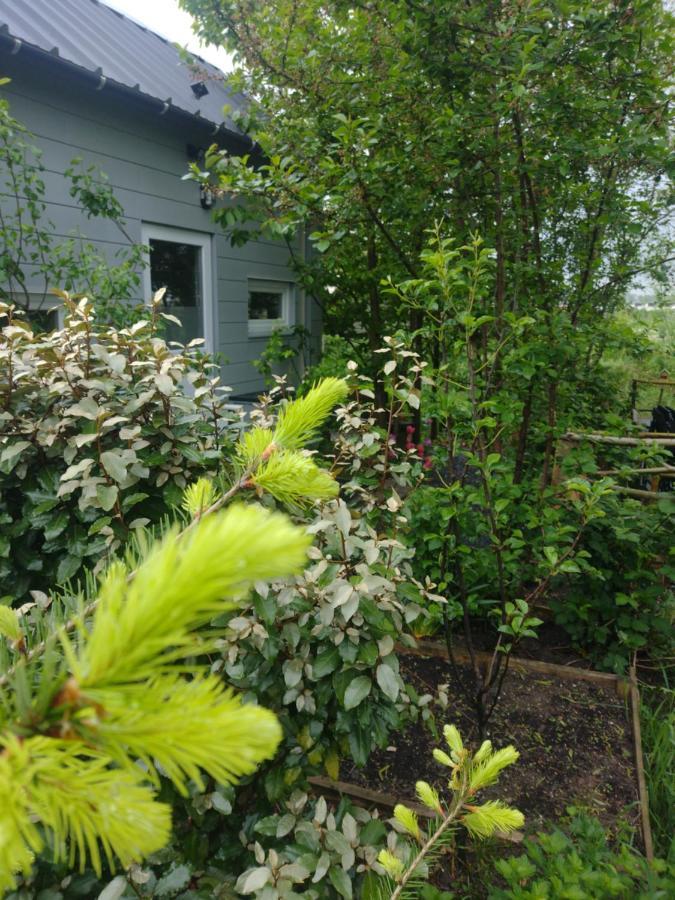 Tuinhuisje In Het Groen Almere Exterior foto
